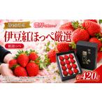 いちご 伊豆紅ほっぺ厳選 1パック