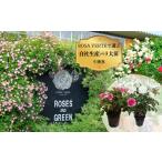 イベントやチケット等 コマツガーデン直営店