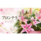 花 ユリ 球根 フロンテラ 6球入り 二色咲き