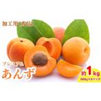 果物類 2027年 加工用 秀品 生あんず 約1kg