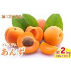 果物類 2027年 加工用 秀品 生あんず 約2kg
