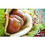果物類 栗 中津川大栗3Lサイズ1kg 2