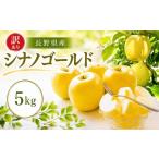 りんご 訳あり シナノゴールド 約5kg