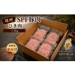 豚肉 信州SPF豚 ひき肉 1.5kg