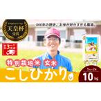 米 コシヒカリ 特別栽培米 玄米 10kg