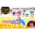 米 コシヒカリ 定期便12ヶ月 精米 10kg