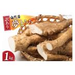 野菜類 自然薯 訳あり 1kg