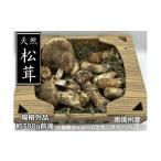 野菜類 きのこ 8-F20 松茸 規格外品 約300g前後