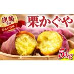 野菜類 サツマイモ さつまいも 栗かぐや 生芋 約5kg