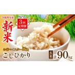 米 コシヒカリ 定期便3回 新米 玄米30kg