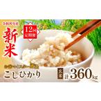 米 コシヒカリ 定期便12回 新米 玄米30kg