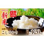 米 コシヒカリ 定期便12回 新米 精米10kg