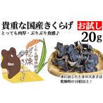 野菜類 きのこ きくらげ お試し20g