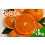 みかん 柑橘類 ゆず せとか 約 3kg