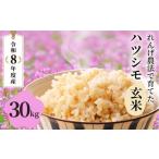 米 玄米 令和8年産 30kg