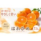 2027年1月上旬~2月上旬迄に 出荷予定