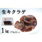 山菜 きのこ 生キクラゲ 約1kg