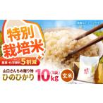 玄米 2026年10月~発送 ひのひかり