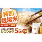 玄米 2026年10月~発送 ひのひかり