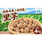 じゃがいも サツマイモ 予約受付中 里芋 約4kg