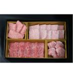 牛肉 焼肉 バーベキュー 希少部位盛り合わせ