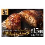 牛肉 ハンバーグ AK090 3回定期便 島原鉄板焼き屋の一品