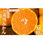 果物類 みかん 農家直送 特選 温州みかん 10kg