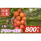 果物類 ぶどう 受付中 クイーンニーナ 1房 700g以上