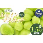 シャインマスカット 1.5kg