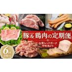 豚肉 セット お肉の定期便 6回 山梨レッドポーク