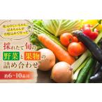 FY02 大師の里のとれたて旬の野菜と果物の詰め合わせ