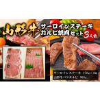牛肉 サーロイン 山形牛サーロインステーキ カルビ焼肉セット