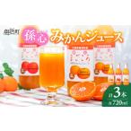 果汁飲料 みかん 御浜柑橘の孫心みかんジュース