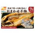 干物 アジ 2027年発送 品 マルミツのおまかせ干物9点