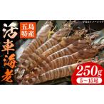 fu.... налог креветка японская тигровая креветка Nagasaki префектура . остров город предшествующий предварительный заказ свежий . остров Special производство . машина море .(..) 250g (5~15 хвост ) местного производства . остров город |. вода . остров проект место PCU003