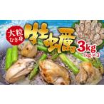 ふるさと納税 千葉県 長生村 C01-H31 大粒むき身牡蠣 3kg（約20〜30粒×3袋）