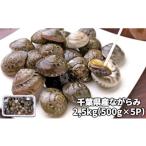 地域のお礼の品 C01-E07 産ながらみ 2.5kg