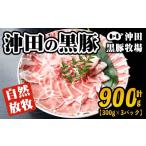 豚肉 セット A3-01 幻の黒 沖田の黒豚 計900g