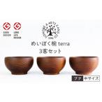 食器 グラス 茶碗 めいぼく椀テッラ中 ブナ