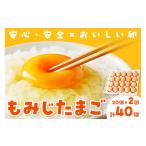 卵 鶏 烏骨鶏等 もみじたまご 地鶏有精卵 20個×2回コース