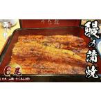 穴子 鱧 うなぎ 6尾