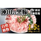 豚肉 セット B6-01 贅沢な黒 沖田の黒豚 計1.5kg