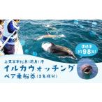 体験チケット 上 イルカウォッチング