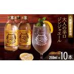 炭酸飲料 産生姜のみ使用 大人の辛口ジンジャーエール 250ml