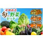 セット 詰合せ 旬の野菜セット 1回便 詰め合わせ