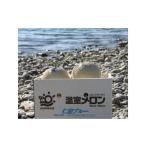 ふるさと納税 メロン メロン青肉 高知県 土佐市 メロン 温室メロン 2玉 果物 くだもの めろん フルーツ デザート ギフト 贈答 プレゼント 仁淀ブルー 高知 土…