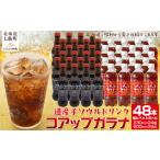 炭酸飲料 サイダー コアップガラナ48本セット