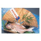 魚貝類 鯛 鯛の浜焼き 特上 漁業協同組合大浜支所