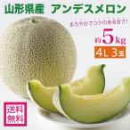 メロン 大玉 5kg 4L 3玉 優品 アンデス