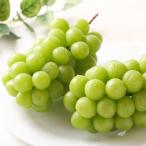  автомобиль in мускат .. Okayama префектура производство большой . примерно 700g 1. высококлассный виноград .. для для бытового использования фрукты .. было использовано фрукты 